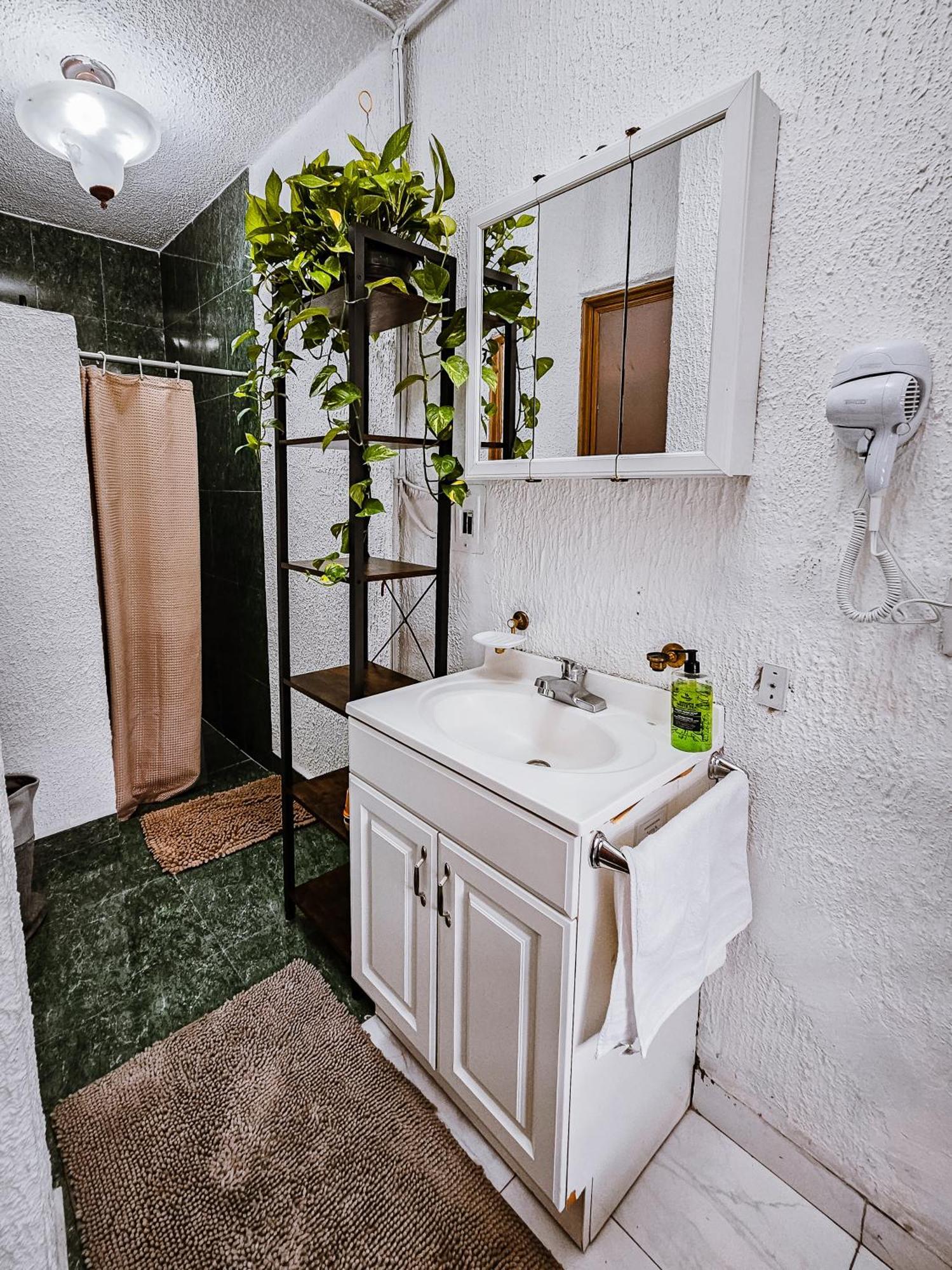 Habitacion Con Bano Privado B, Centro De Coyoacan 墨西哥城 客房 照片
